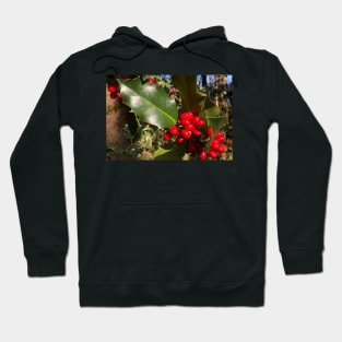 Christmas Holly Berries for You and Your Loved Ones Hoodie